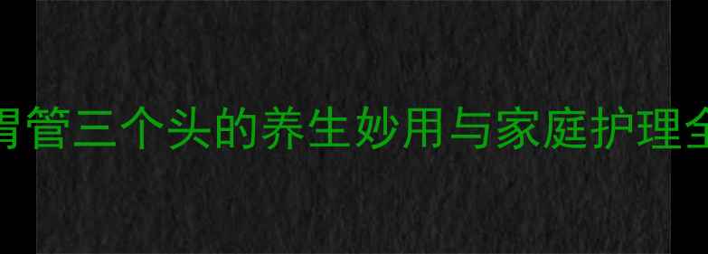 图片 三腔胃管三个头的养生妙用与家庭护理全攻略