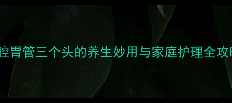 图片 三腔胃管三个头的养生妙用与家庭护理全攻略2