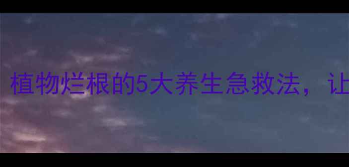 图片 家庭园艺必看！植物烂根的5大养生急救法，让绿植健康长寿1