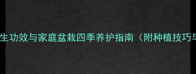 图片 山影仙人掌养生功效与家庭盆栽四季养护指南（附种植技巧与保健作用）2