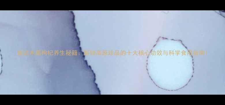 图片 柴达木黑枸杞养生秘籍：解锁高原珍品的十大核心功效与科学食用指南1