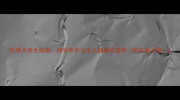 图片 比熊犬养生指南：科学养护与主人健康双提升（附实操手册）2