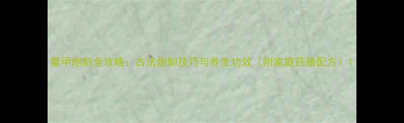 图片 鳖甲炮制全攻略：古法炮制技巧与养生功效（附家庭药膳配方）1