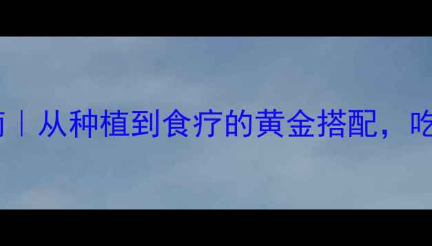 图片 🌱大蒜养生指南｜从种植到食疗的黄金搭配，吃出健康好气色2