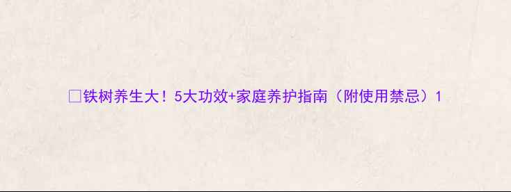 图片 🌱铁树养生大！5大功效+家庭养护指南（附使用禁忌）1