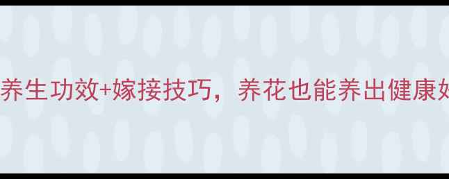 图片 🌸杜鹃花养生功效+嫁接技巧，养花也能养出健康好气色！1