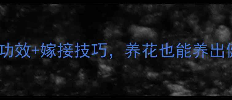 图片 🌸杜鹃花养生功效+嫁接技巧，养花也能养出健康好气色！2